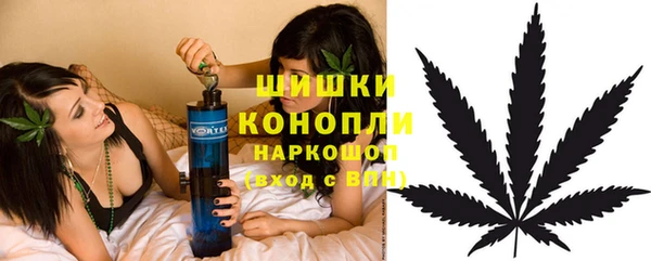 spice Балахна