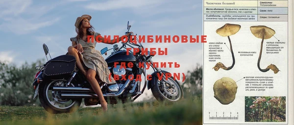 spice Балахна