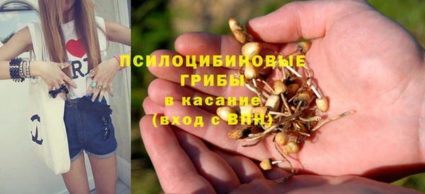 крисы Балабаново