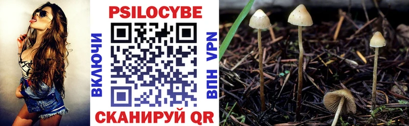 Галлюциногенные грибы мухоморы  площадка состав  Коммунар 